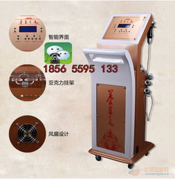 古法新生 经络疏通与排毒养生的现代诠释